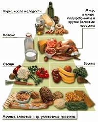 Пирамида питания Сбалансированная диета
