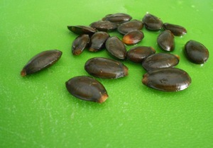 Семена гуанабана
